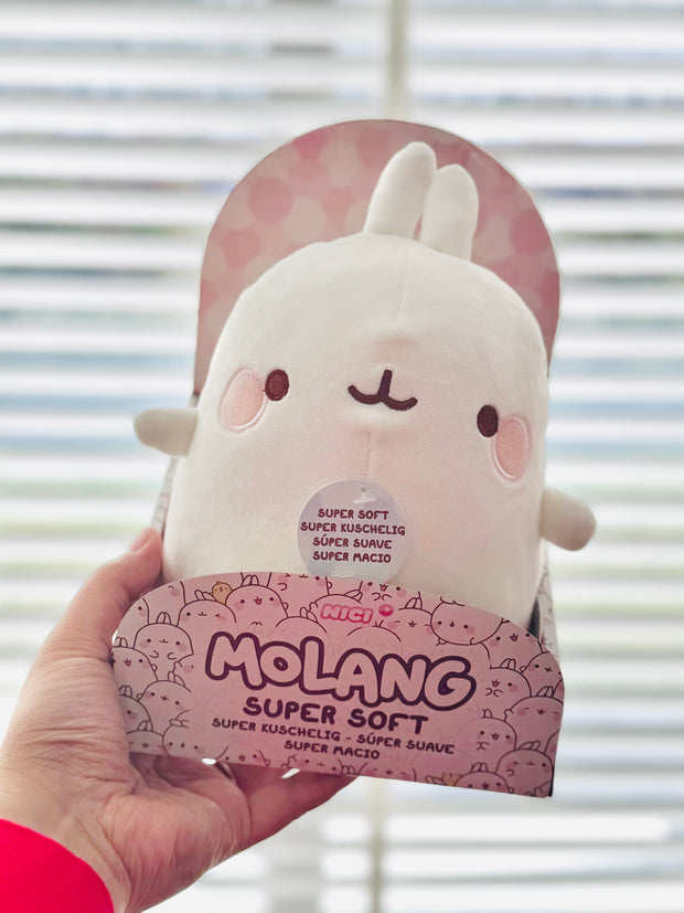 <h4><span style="text-decoration:underline">MOLANG</span></h4>