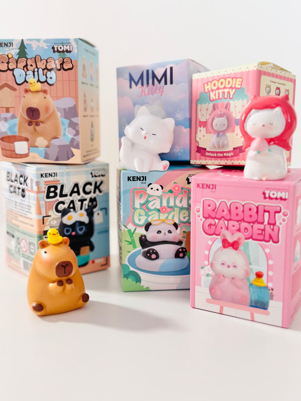 <h4><span style="text-decoration:underline">BLIND BOXES</span></h4>