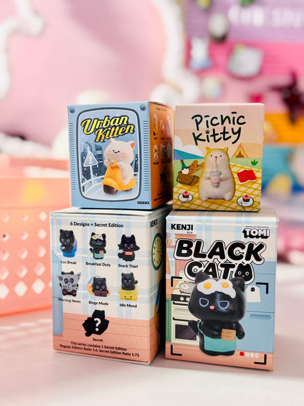 <h4><span style="text-decoration:underline">BLIND BOXES</span></h4>