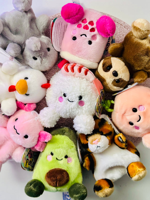 <h4><span style="text-decoration:underline">PALM PALS</span></h4>