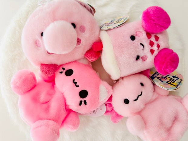 <h4><span style="text-decoration:underline">PALM PALS</span></h4>