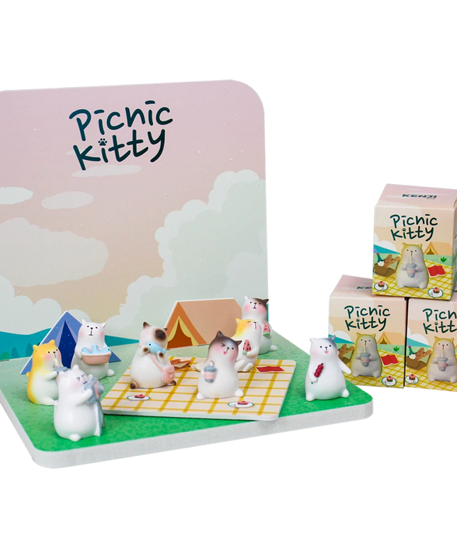 Tomi Picnic Kitty blind box random - Kenji - CuteStuff.nl