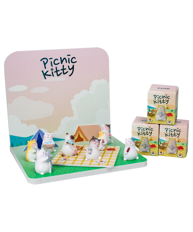 Tomi Picnic Kitty blind box random - Kenji - CuteStuff.nl