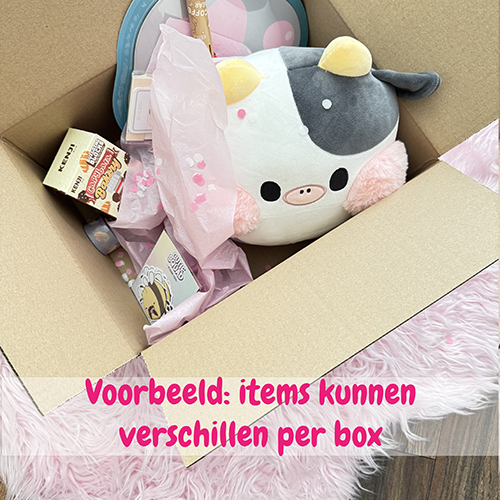Surprise Box Large twv bijna €70,-
