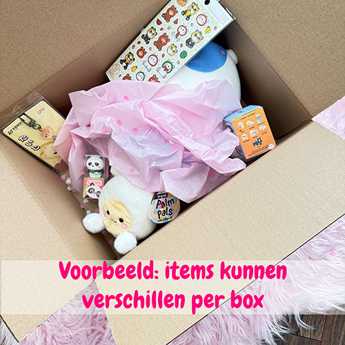 Surprise Box Medium twv bijna €55,-