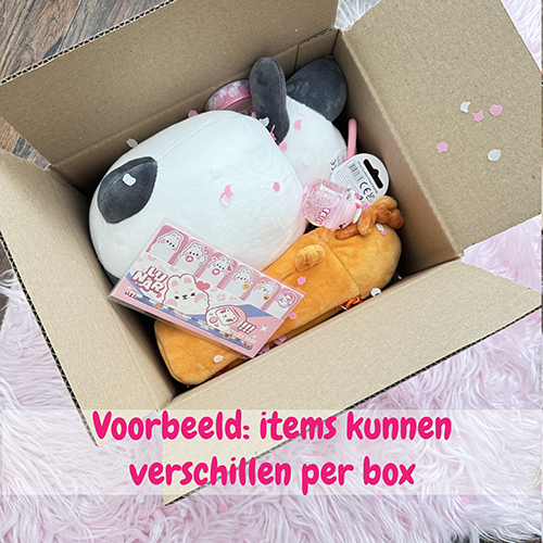 Surprise Box Small twv ruim €40,-